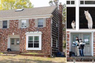 Horrifying discovery made in Long Island home following reports of foul stench coming from building