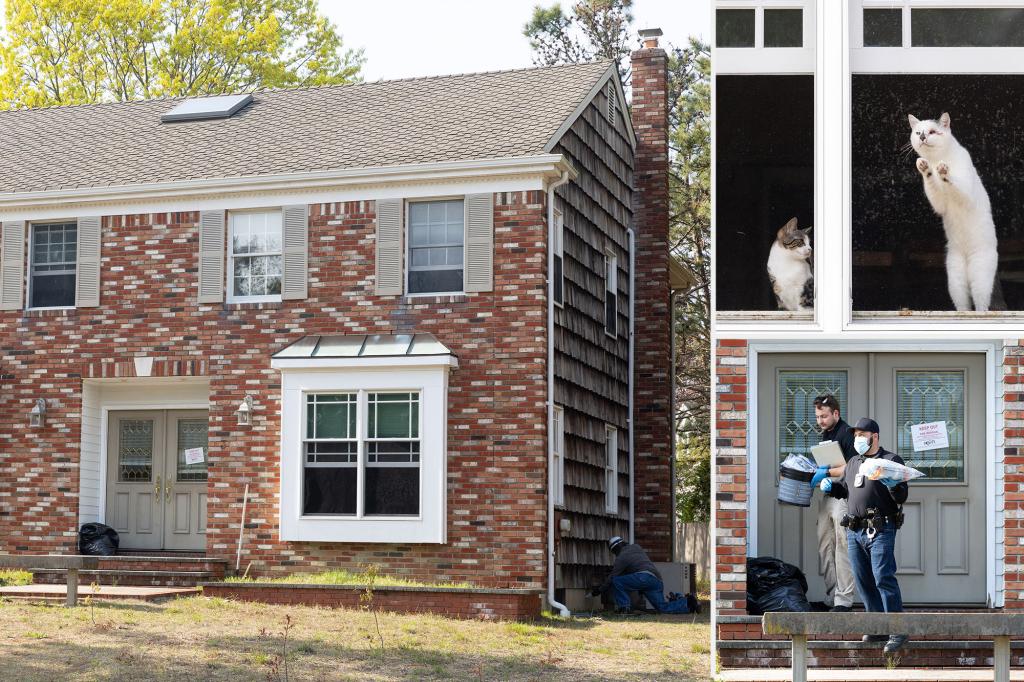Horrifying discovery made in Long Island home following reports of foul stench coming from building