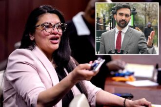 Exclusive | Anti-Israel ‘Squad’ member Rashid Tlaib fundraises for NYC mayoral candidate Zohran Mamdani