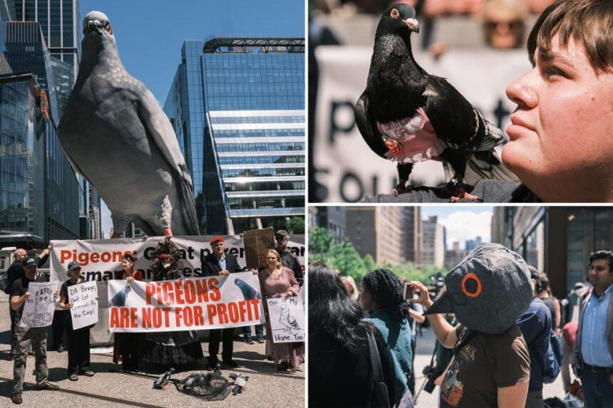 Animal advocates demand Manhattan DA Alvin Bragg go harder on pigeon catchers after poacher’s arrest