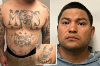 MS-13 goon covered in gang tats nabbed by ICE after he was deported, snuck back into US