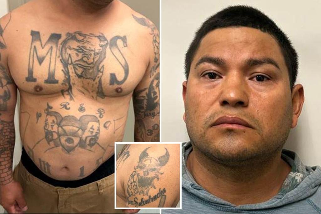 MS-13 goon covered in gang tats nabbed by ICE after he was deported, snuck back into US