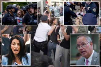 Exclusive | NY city and state lawmakers condemn CUNY chancellor after anti-Israel melee at Brooklyn College: ‘Step up or step down’