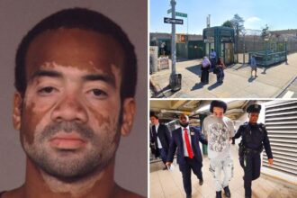 Maniac with 20 prior arrests busted in random attack on grandma, 70, in NYC subway station: sources