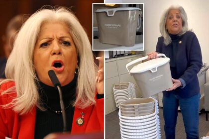 Exclusive | NYC pol trashes city for pushing ‘disgusting’ compost pails: ‘Use as beer coolers’
