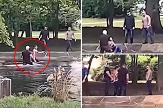 Shirtless illegal immigrant busted by ICE after jumping headfirst into pond in wild caught-on-camera pursuit