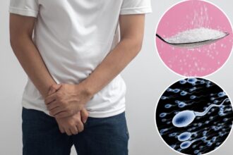 Popular artificial sweetener may sabotage fertility: alarming new study