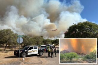 Arizona’s Cody Fire scorches 1,000 acres near Tucson, prompting evacuations