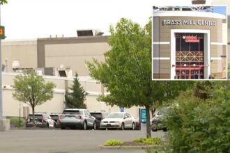Multiple people shot at Connecticut mall, gunman still at large: reports