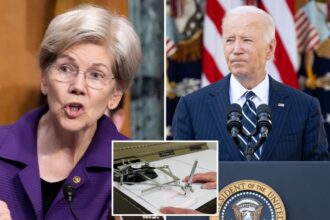 Trump AI czar claims Sen. Elizabeth Warren ‘controlled the autopen’ for Biden