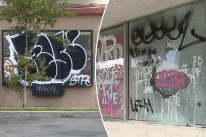 Wild LA party grows out of control as fire-breather, vandals wreak havoc and injure cops
