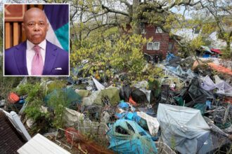 Exclusive | Adams losing ‘war on rats’ as NYC Council rips budget cuts delaying cleanup of 1,700 trash-strewn lots