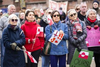 No, Danish MP didn’t seek Kremlin’s help to protect Greenland