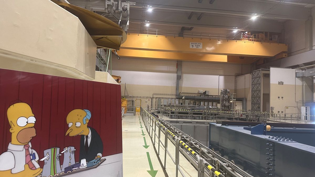 Nuclear power on the rise except in UN watchdog’s home Austria