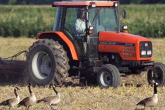 Commission unveils major plan to simplify EU’s agricultural rulebook