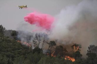 European countries send planes to help Israel fight massive wildfire