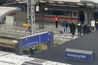 Several injured in knife attack at Hamburg train station, police say