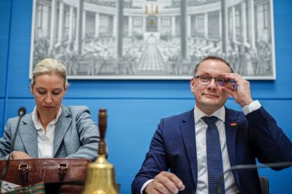 Germany designates AfD as right-wing extremist organisation
