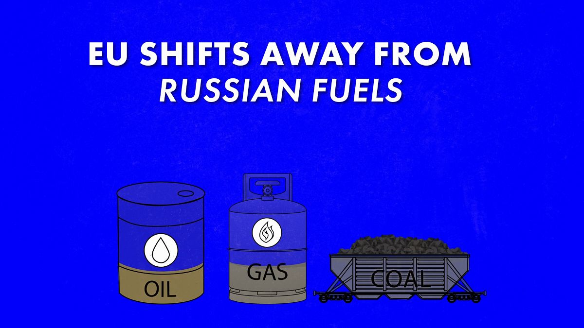Can the EU afford to phase out imports of Russian fuel?