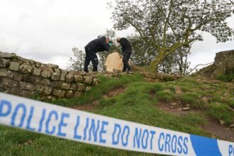 Two men found guilty of criminal damage for felling Sycamore Gap tree
