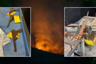 Los Angeles police hope to reunite firearm owners with guns after devastating Palisades Fire