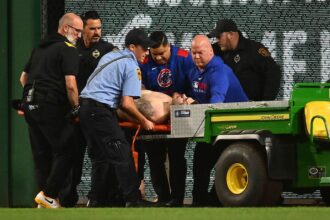 Baseball fan plummets from stands to ground during Pirates-Cubs game