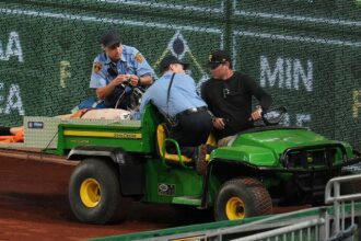 Baseball fan in critical condition after 21-foot fall from stands at Pirates-Cubs game