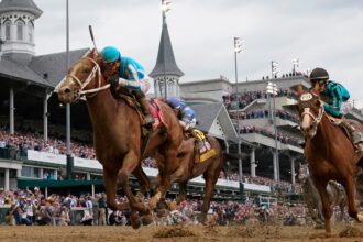 Gambling expert gives betting trends for Kentucky Derby