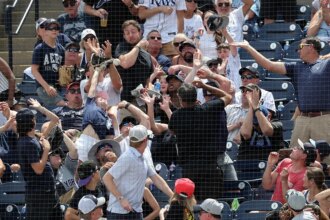 Dad goes viral after catching ball at Yankees game while daughter covers his eyes
