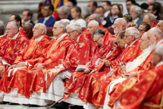 Cardinals gather for conclave to choose new pope and more top headlines