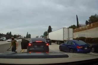 Tesla road-rage driver allegedly assaults teen, mom in Hawaii months after prison release
