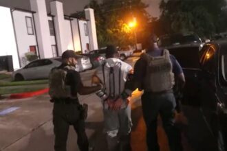 ICE arrests 422 illegal migrants in Houston sweep, including suspects wanted for murder, arson