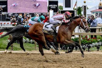 Journalism wins 150th Preakness Stakes after miraculous recovery in thrilling race