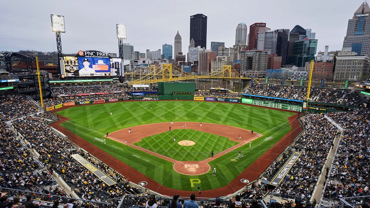 Man charged with giving booze to underage Pirates fan who fell onto field: reports