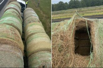 Alleged human smugglers arrested in Texas after hiding migrants inside hollowed hay bales