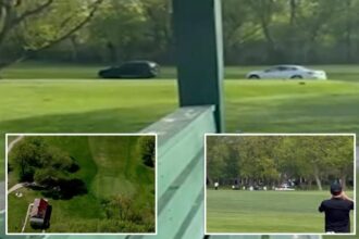 70-year-old golfer struck by SUV in crazy, caught-on-video car chase on Chicago golf course