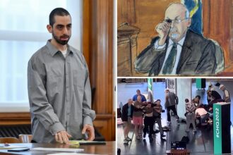 Salman Rushdie’s attacker Hadi Matar gets max sentence for horrific stabbing