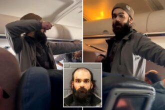 Passenger pleads guilty after attempting to open emergency exit, stab flight attendant in horrifying midair rampage
