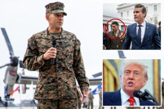 Exclusive | White House rejects Hegseth chief of staff pick who trashed Trump and Vance as ‘crazy,’ ‘dumb’