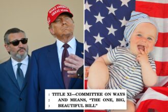 Trump’s ‘Big, Beautiful Bill’ proposal offers ‘MAGA accounts’ with K for newborns