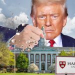 Why Wall Street fat cats are sweating Trump’s war on ‘woke’ colleges
