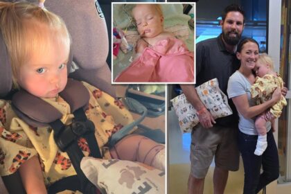 1-year-old girl barely survives rattlesnake  attack in Arizona, needs 30 vials of antivenom to survive 2 bites