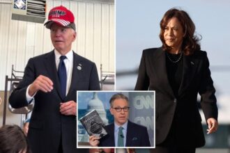 New book ‘Original Sin’ reveals moment Kamala Harris campaign cut ties with Biden: ‘What is he doing?’