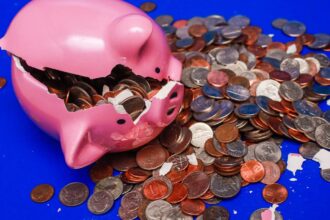 You’re Wasting 0 on Subscriptions You Forgot About, CNET Survey Finds. How to Put an End to ‘Subscription Creep’