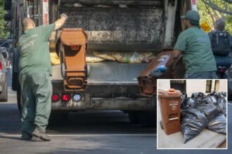 Exclusive | NYC scrapped composting fines, but what happened next broke records anyway