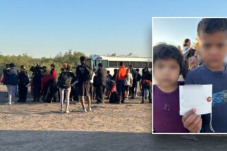 Trump immigration advisor targets criminals exploiting unaccompanied minors who entered US under Biden