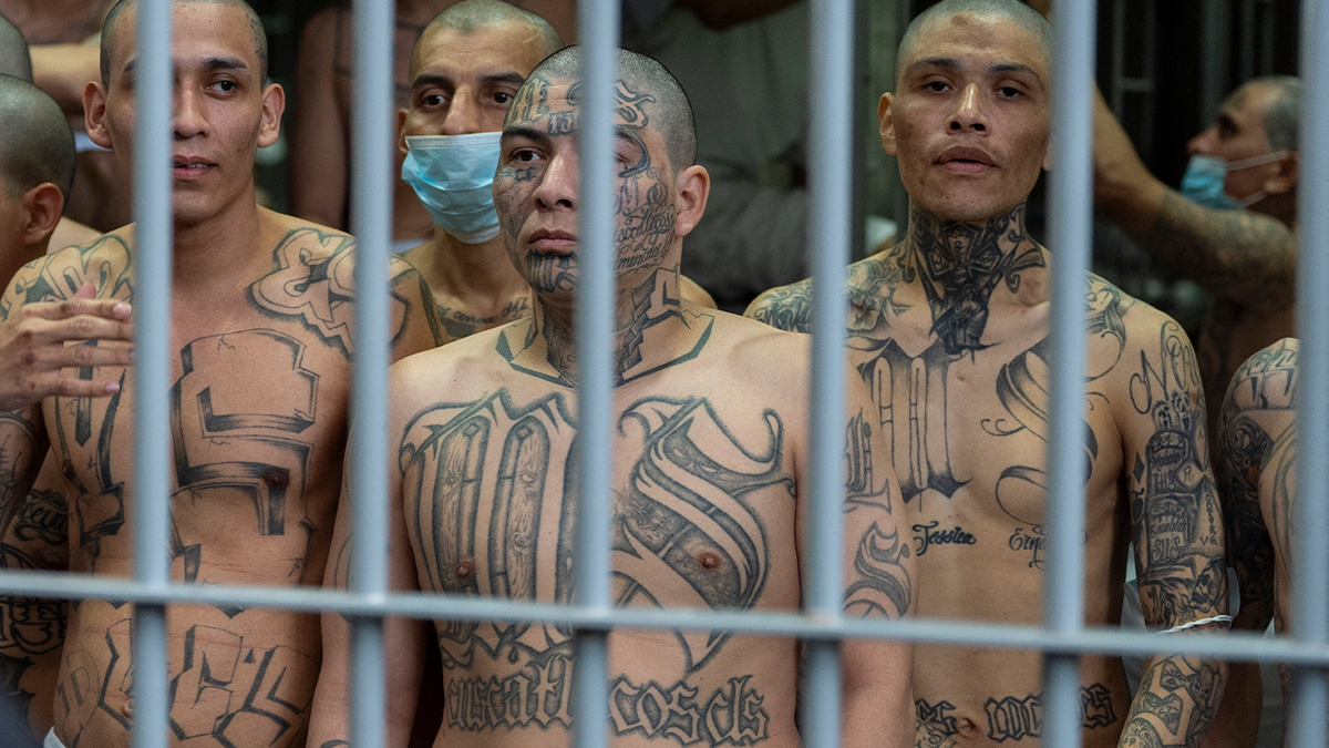 ms-13 kristi noem el salvador