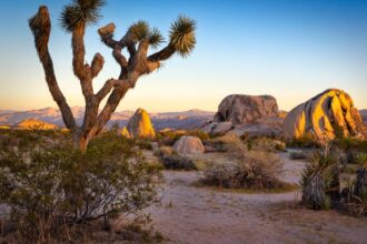 TikTok’s Raunchy Love Letter to the National Parks Might Actually Save Them