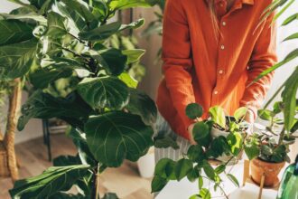 These Are the 9 Hardest Houseplants to Kill (Trust Me, I’ve Tried)