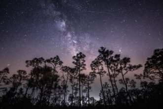 Get Outside Monday Night to See the Eta Aquarid Meteor Shower Peak